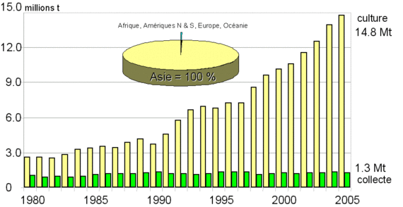 Evolution 1980 - 2005 de la production mondiale