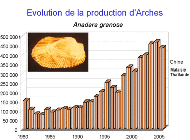 Evolution de la production d'Arches