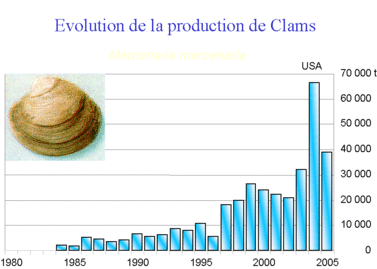 Evolution de la production de Clams