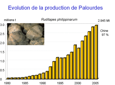 Evolution de la production de Palourdes
