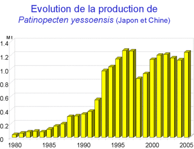 Evolution de la production de Patinopecten yessoensis