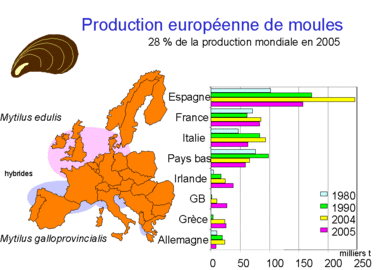 Production europeenne de moules