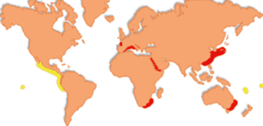Geographical distribution and area of farming of Marsupenaeus Japonicus (red) and Litopenaeus stylirostris (yellow)