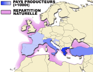 Natural zones of habitat of the bass