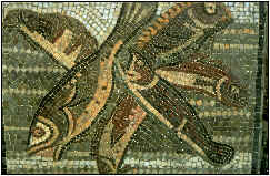 Elevage romain de poissons en viviers