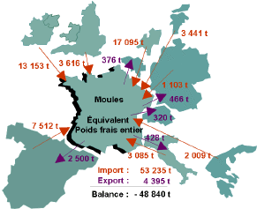Circuits principaux d'importation/exportation avec l'Europe - annee 2003 