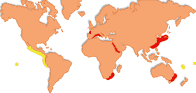 Repartition geographique et zones d'elevage de Marsupenaeus Japonicus (rouge) et Litopenaeus stylirostris (jaune)