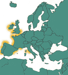 Aire de repartition de l'huitre creuse en Europe