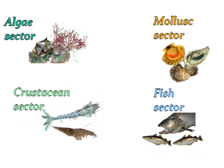 Aquaculture sectors